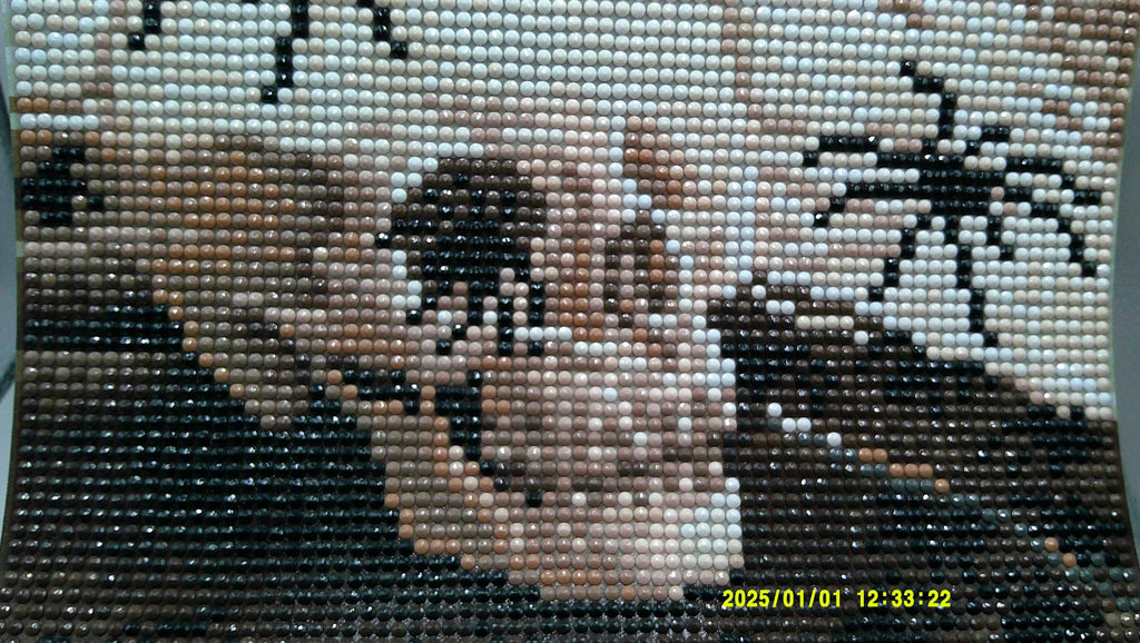 Spiders on Skull & Books Diamond Art Scene