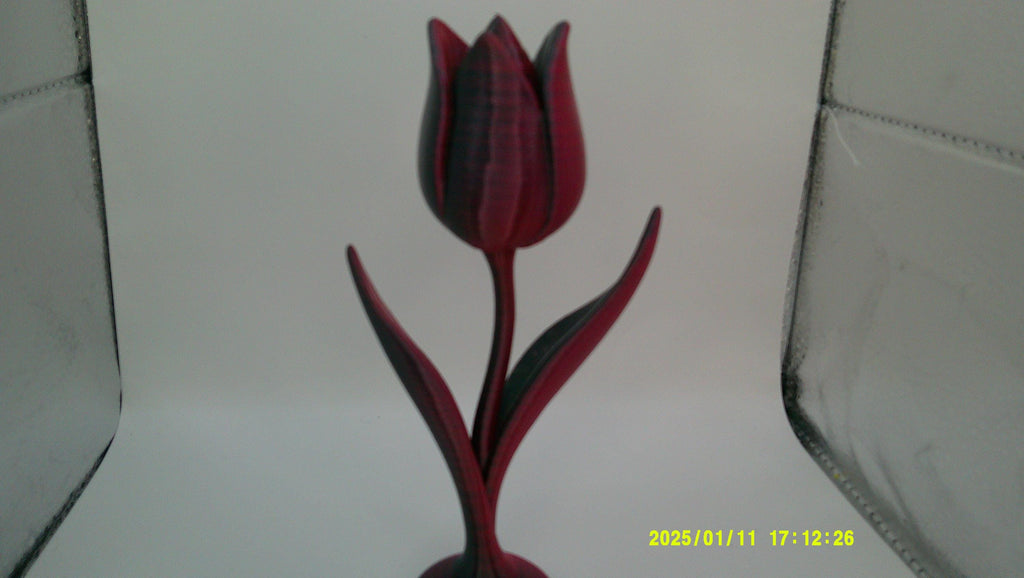 Love in Bloom – 3D Tulip Sculpture