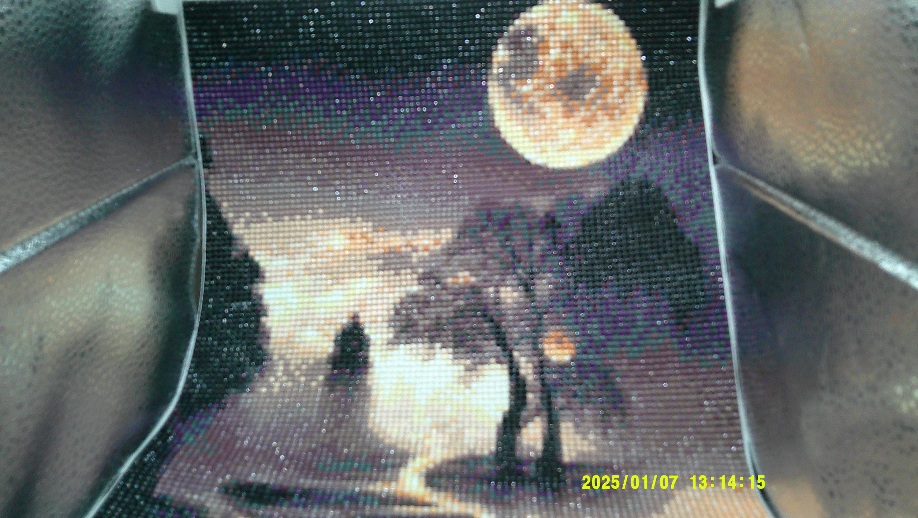 Moon Over the Woodland Trail