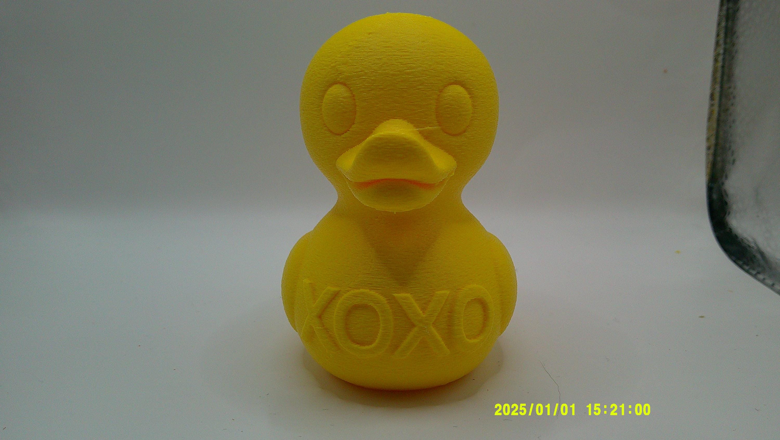 3D Printed Conversation Ducks