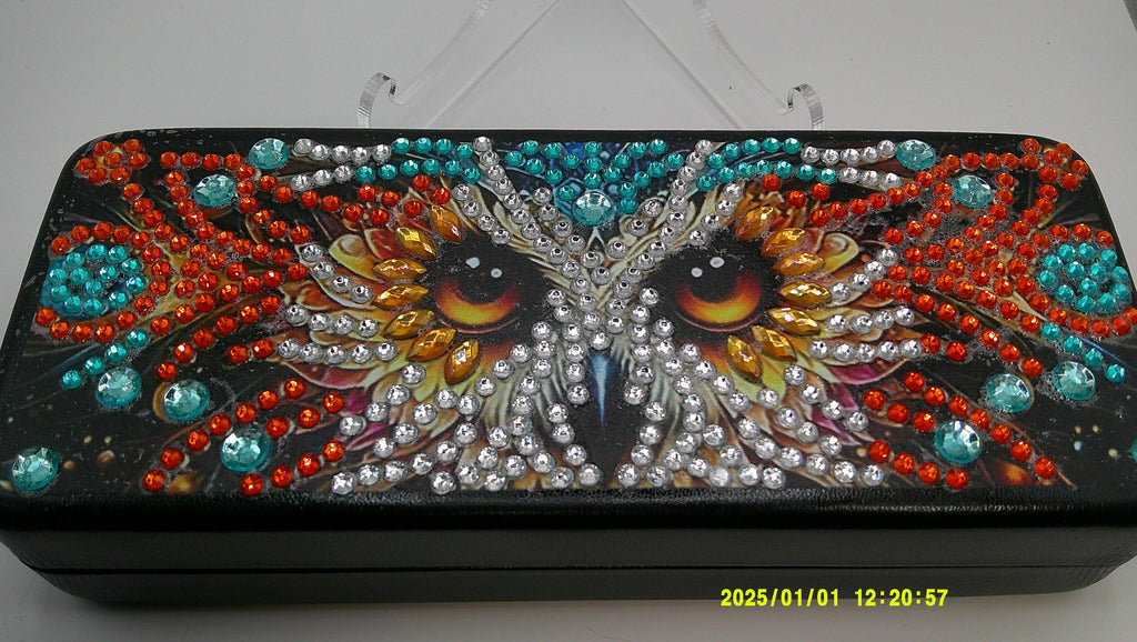 Jeweled Owl Diamond Art Eye Glass Case