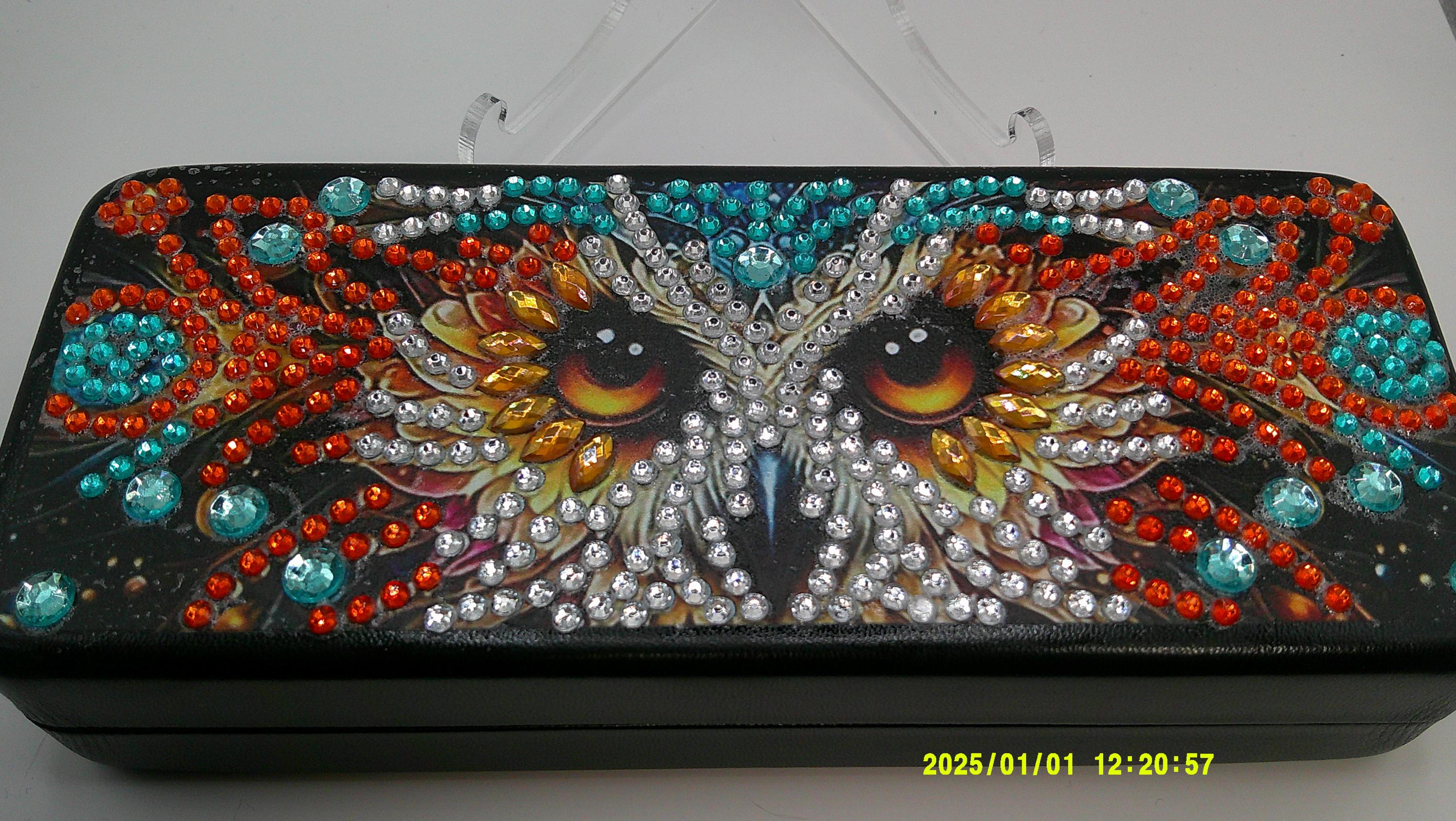 Jeweled Owl Diamond Art Eye Glass Case