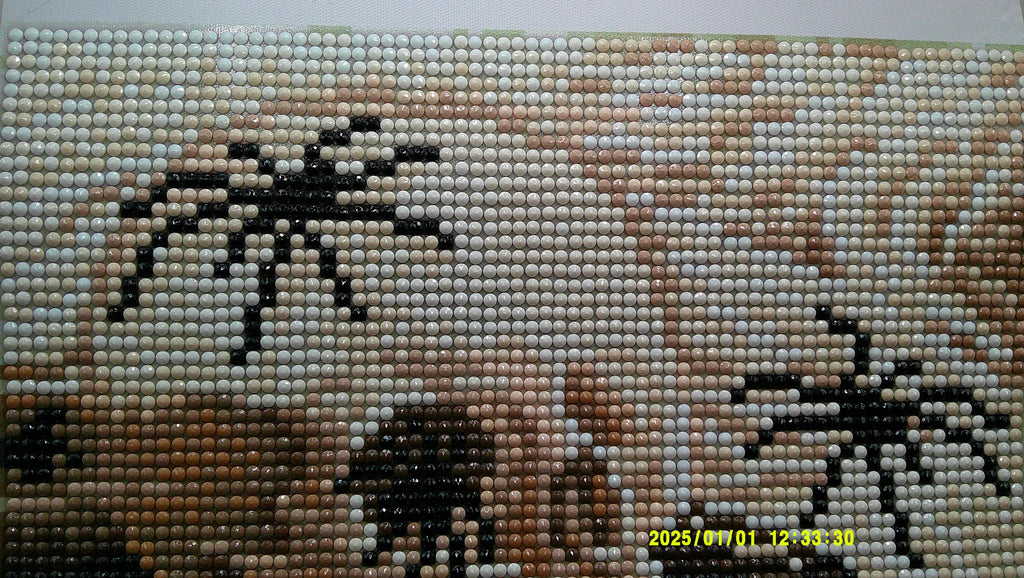 Spiders on Skull & Books Diamond Art Scene