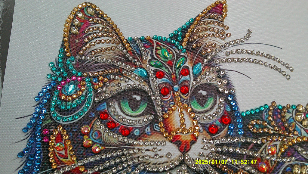 Vibrant Jewel‑Pattern Cat