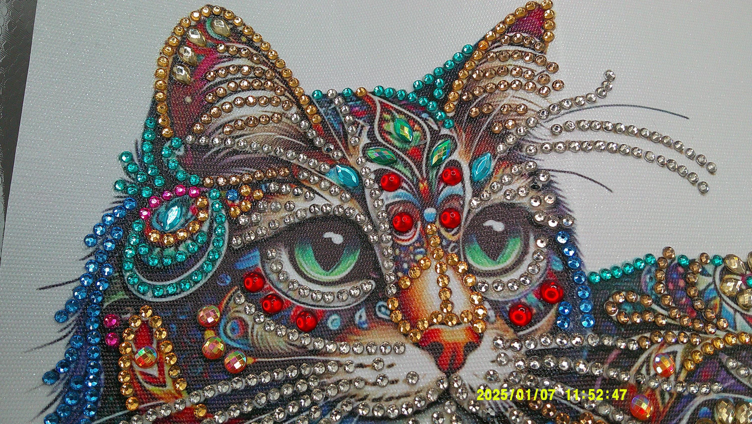 Vibrant Jewel‑Pattern Cat