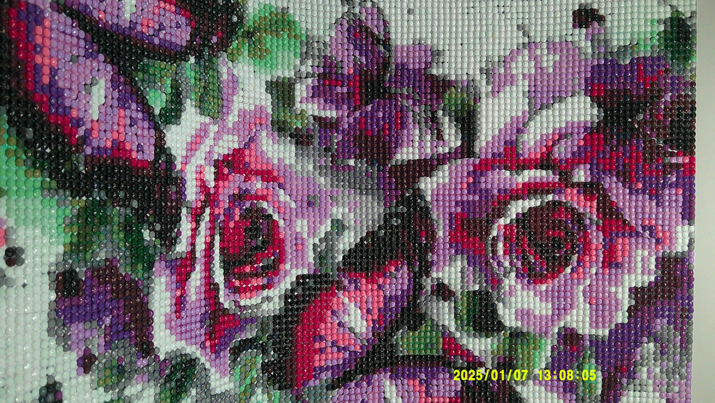 Blossoms & Butterfly Dreams