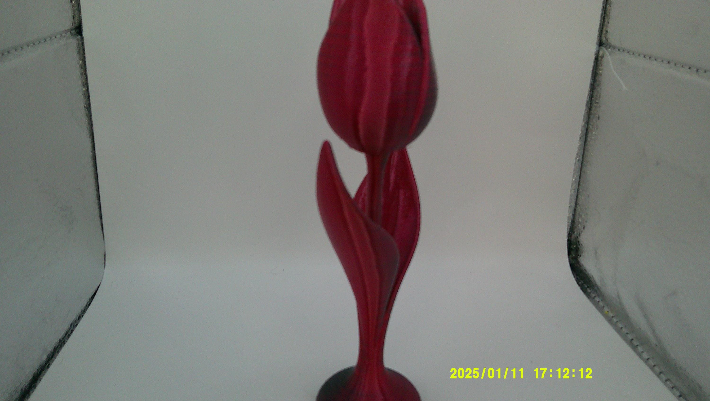 Love in Bloom – 3D Tulip Sculpture