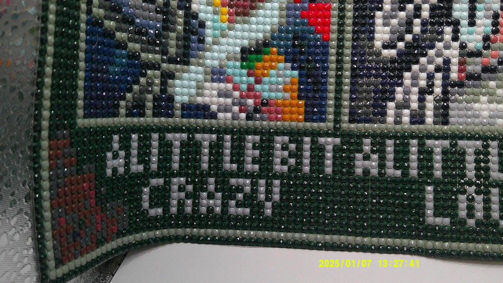 Skeleton Couple Diamond Art – Gothic Whimsical Unframed Painting