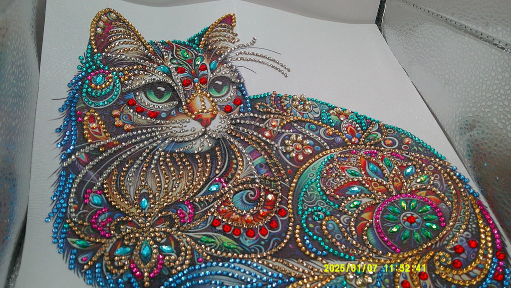 Vibrant Jewel‑Pattern Cat
