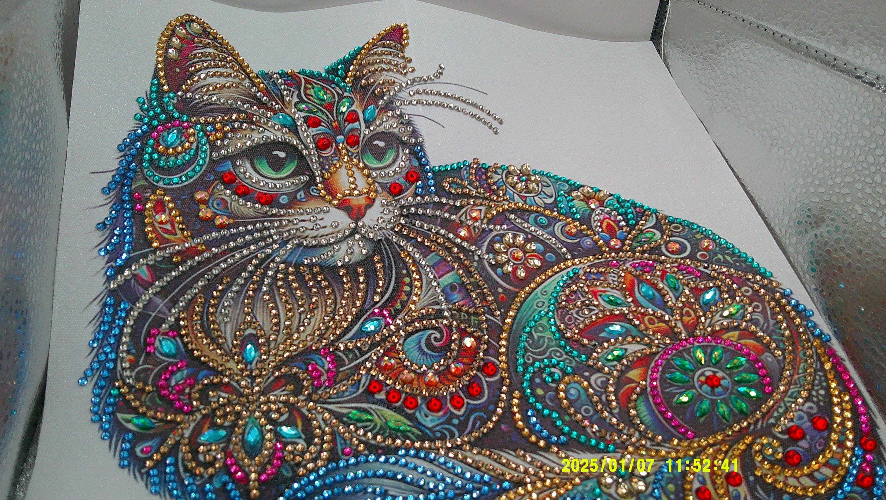 Vibrant Jewel‑Pattern Cat