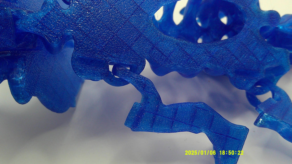 3D‑Printed Triceratops Skeleton