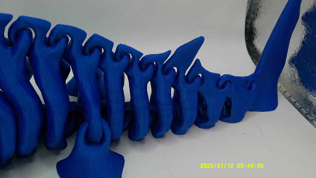 Articulated Hammerhead Shark Skeleton, 3D Printed Flexi Marine Animal Figure