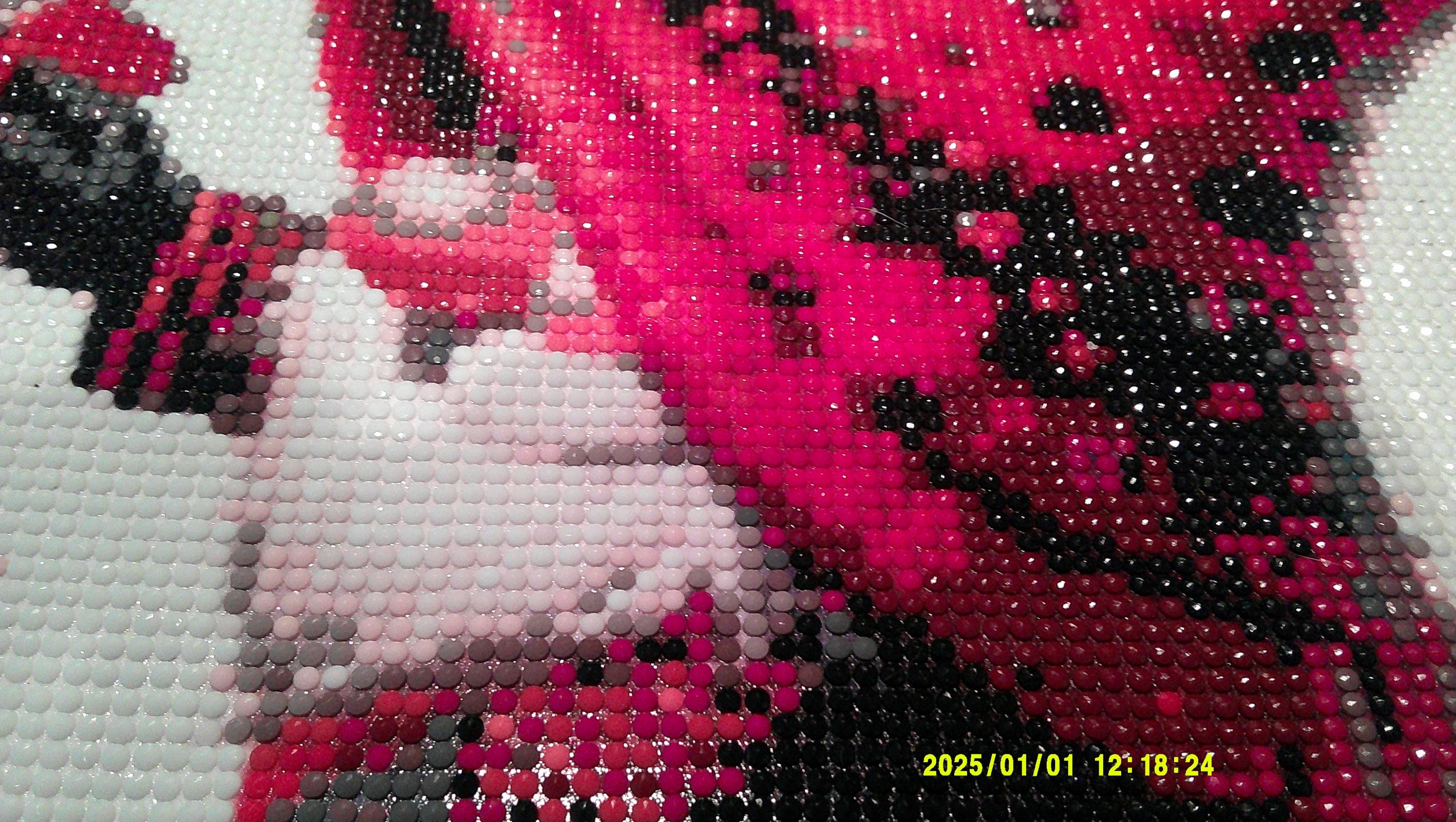 Ladybug Garden Friend Diamond Art Painting