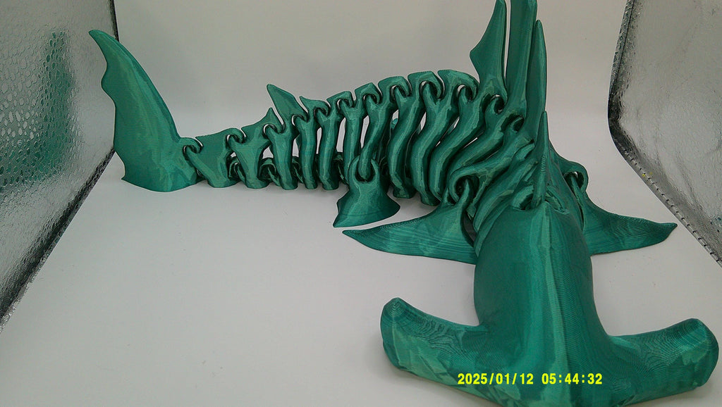 Articulated Hammerhead Shark Skeleton, 3D Printed Flexi Marine Animal Figure