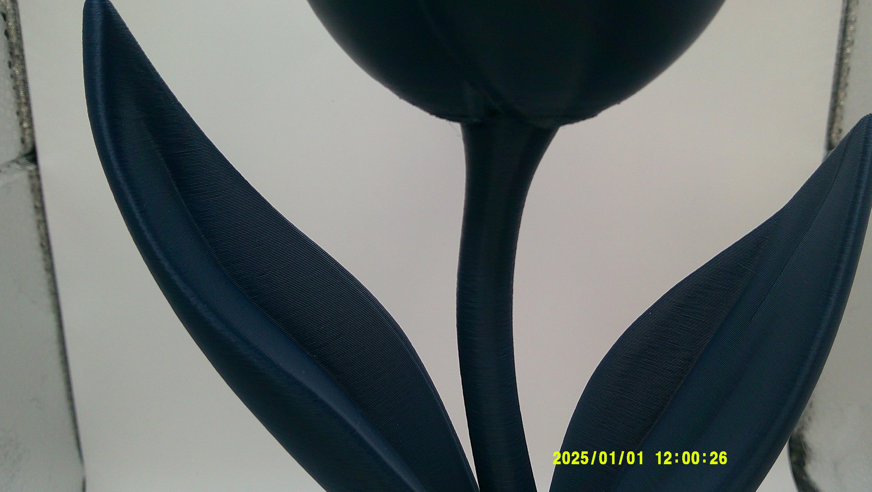 3D Printed Tulip Flower, Modern Decorative Bloom, Articulated Stem Display Piece