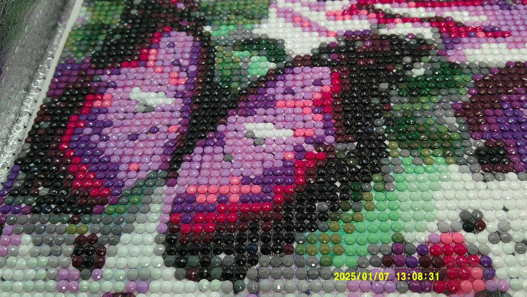 Blossoms & Butterfly Dreams