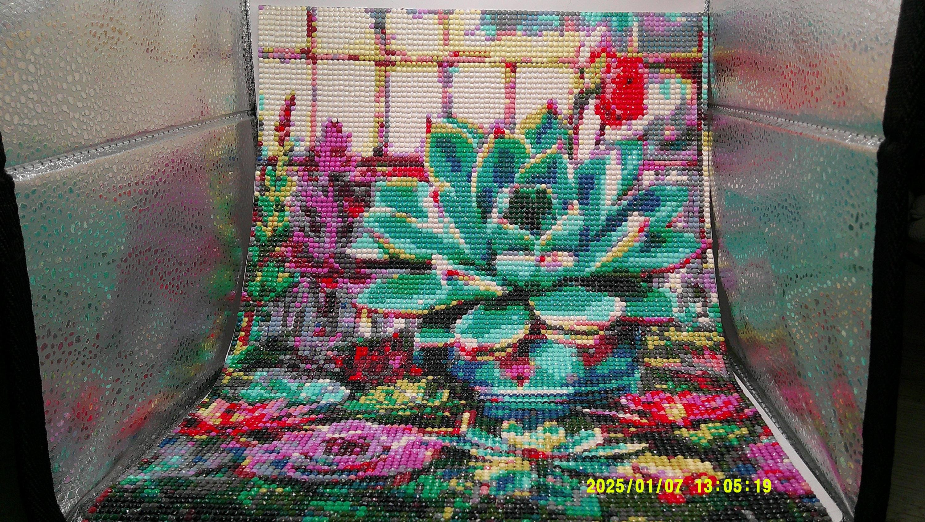 Lush Succulent Arrangement
