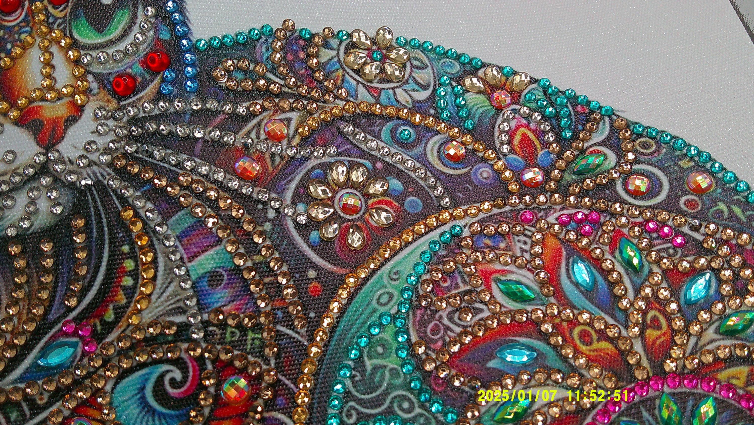 Vibrant Jewel‑Pattern Cat