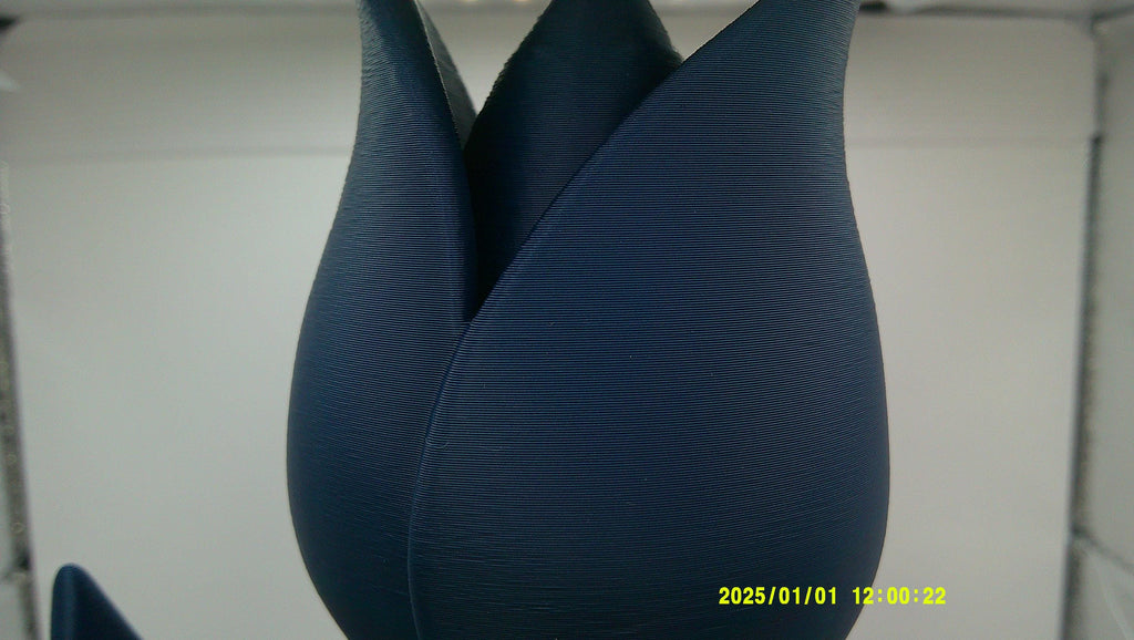 3D Printed Tulip Flower, Modern Decorative Bloom, Articulated Stem Display Piece