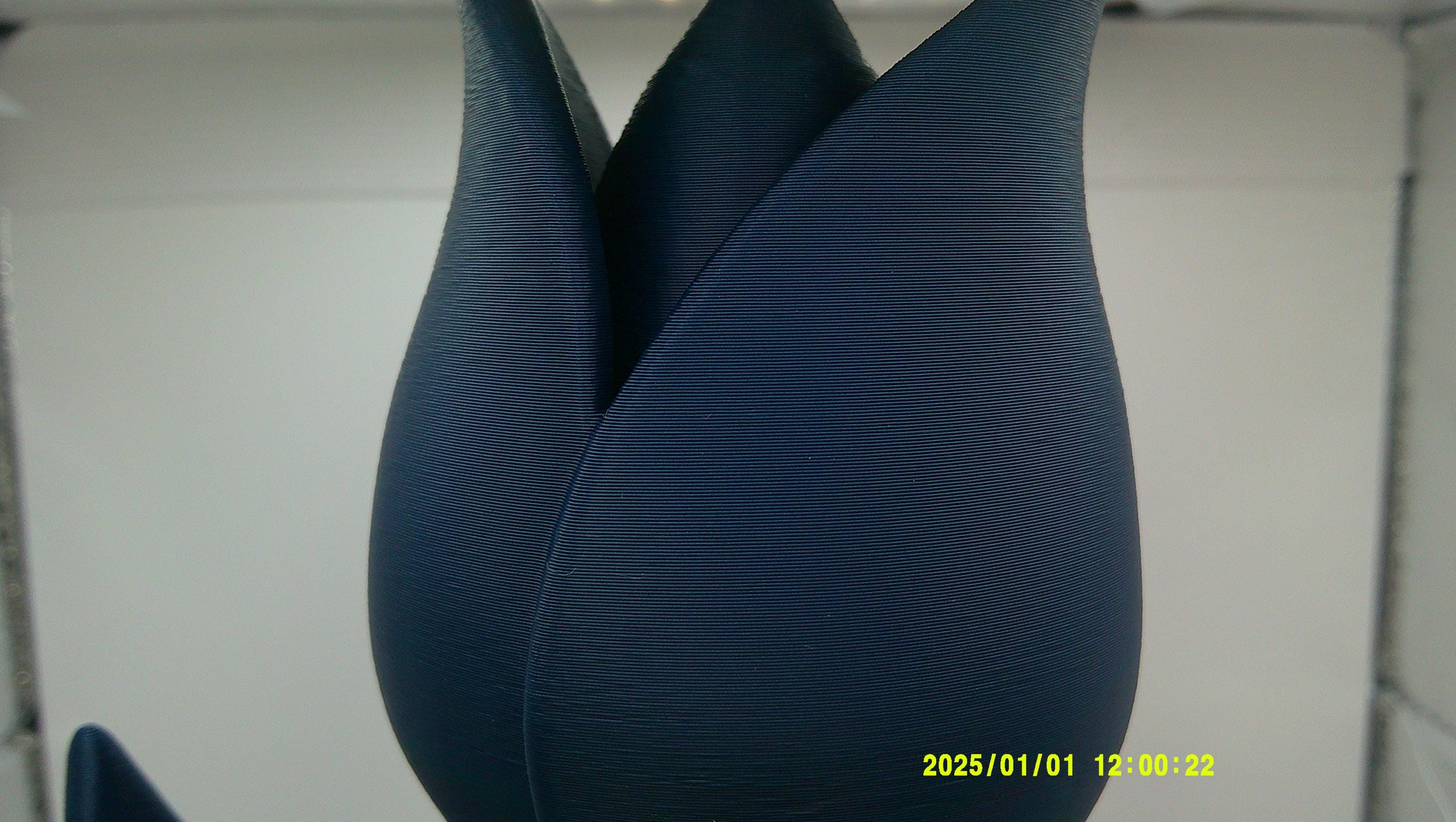 3D Printed Tulip Flower, Modern Decorative Bloom, Articulated Stem Display Piece