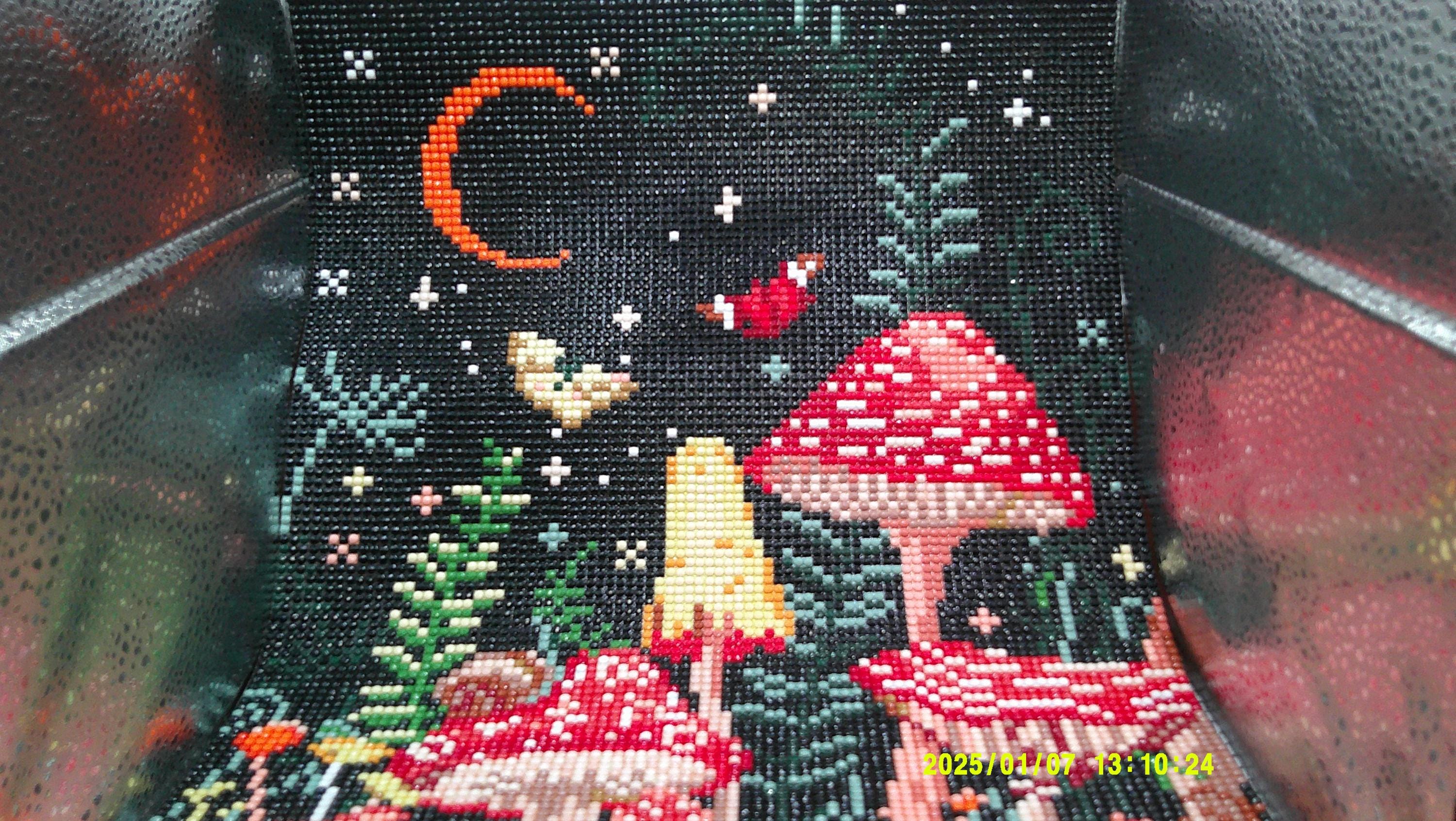 Whimsy in the Night Woods