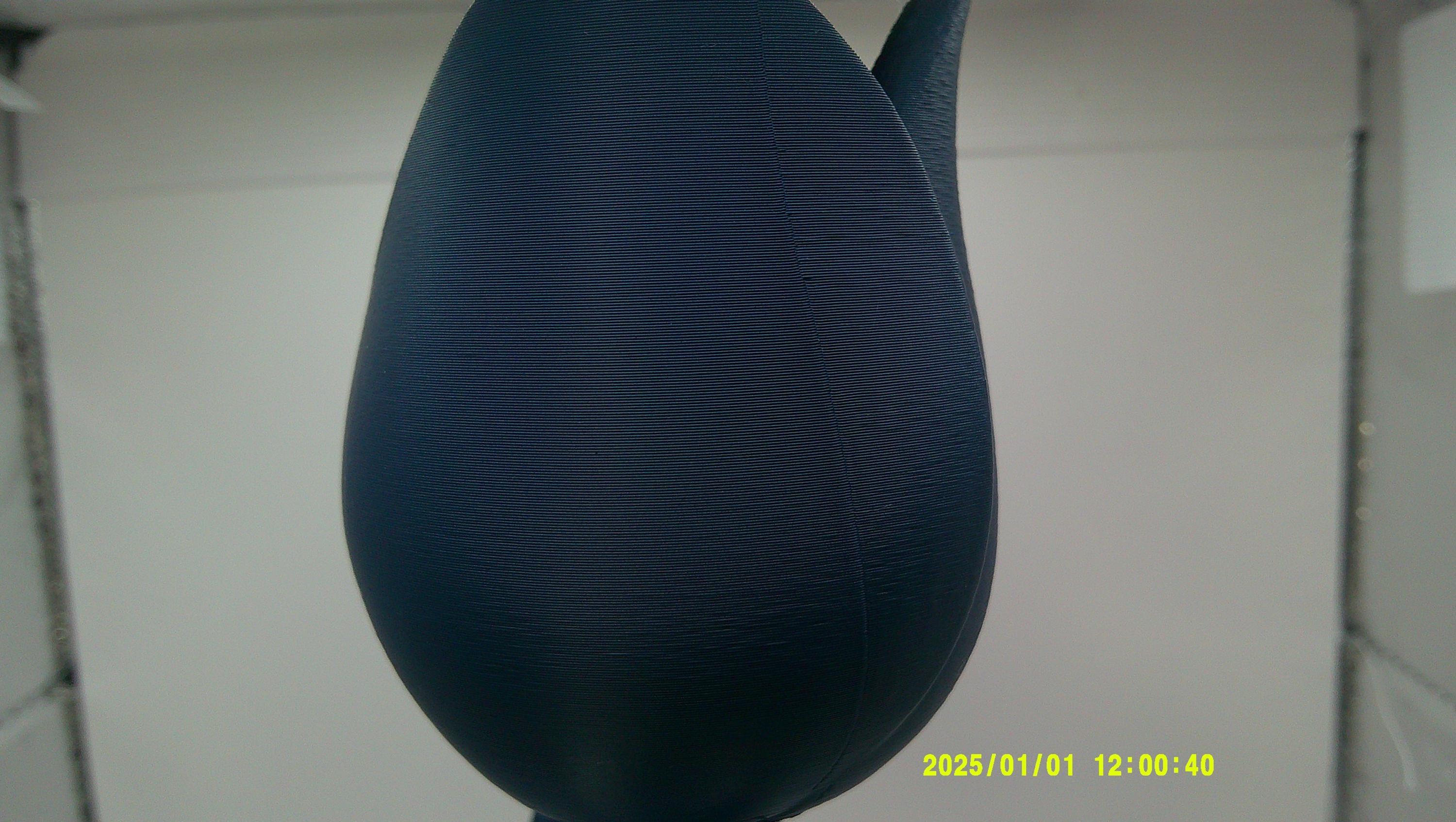 3D Printed Tulip Flower, Modern Decorative Bloom, Articulated Stem Display Piece