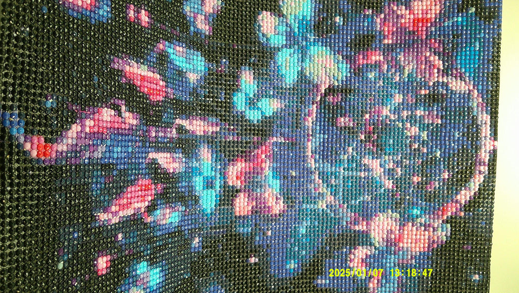 Colorburst Butterfly Dreamcatcher