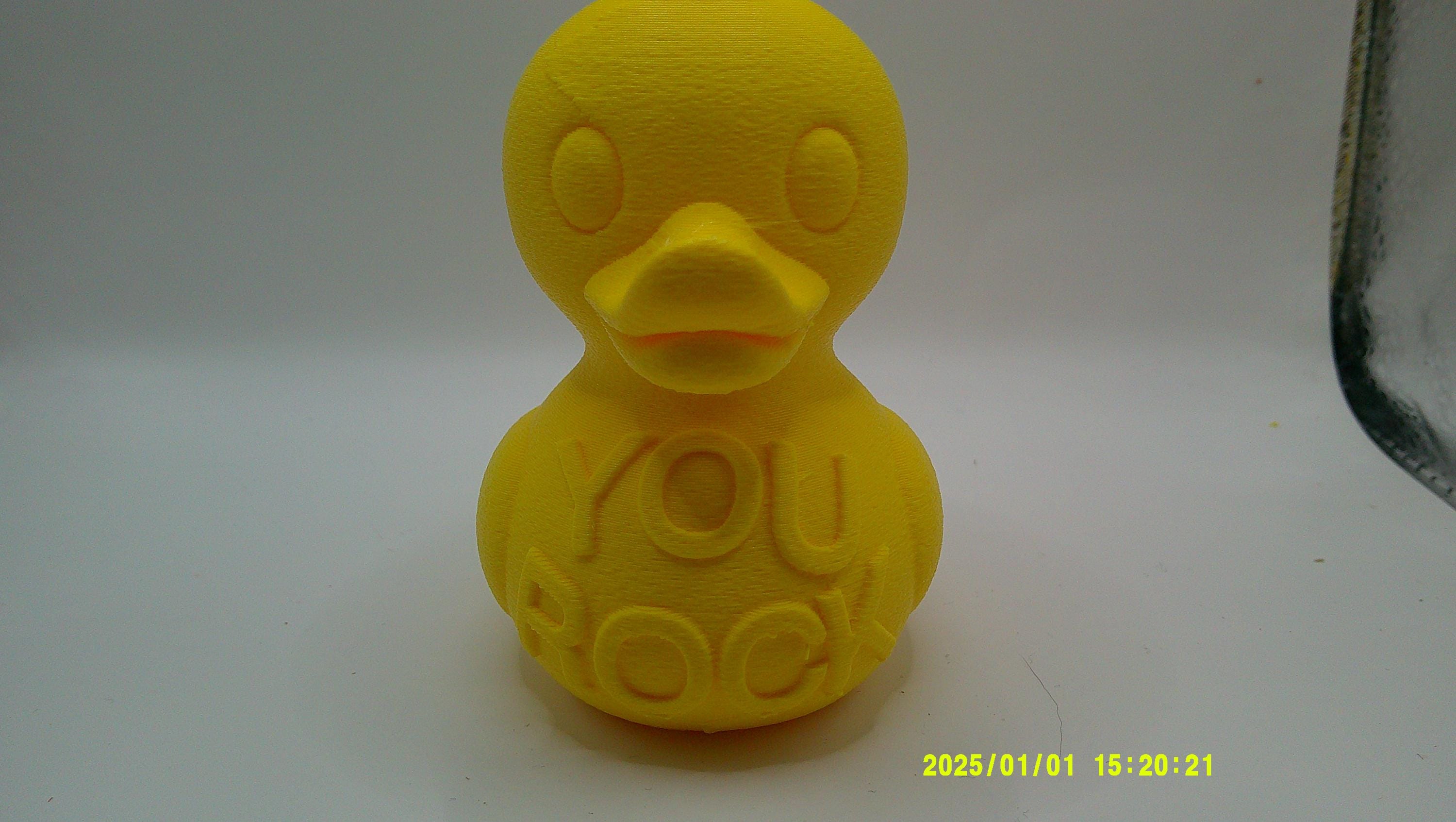 3D Printed Conversation Ducks
