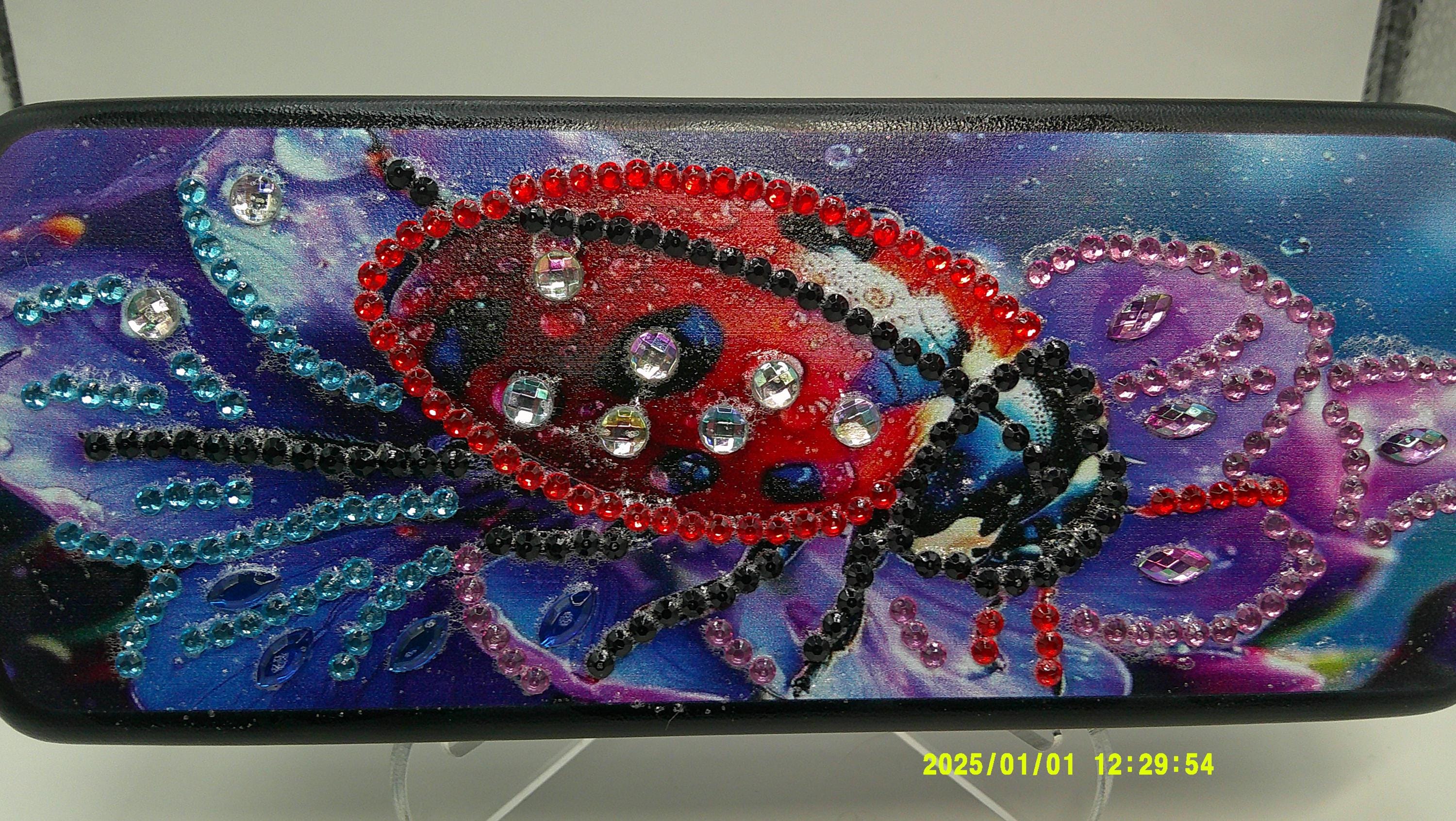 Hand‑Embellished Ladybug Floral Glasses Case