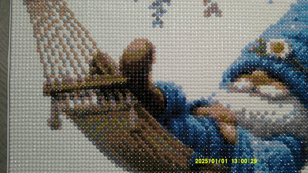 Hammock Days & Daisies – Whimsical Gnome Diamond Art