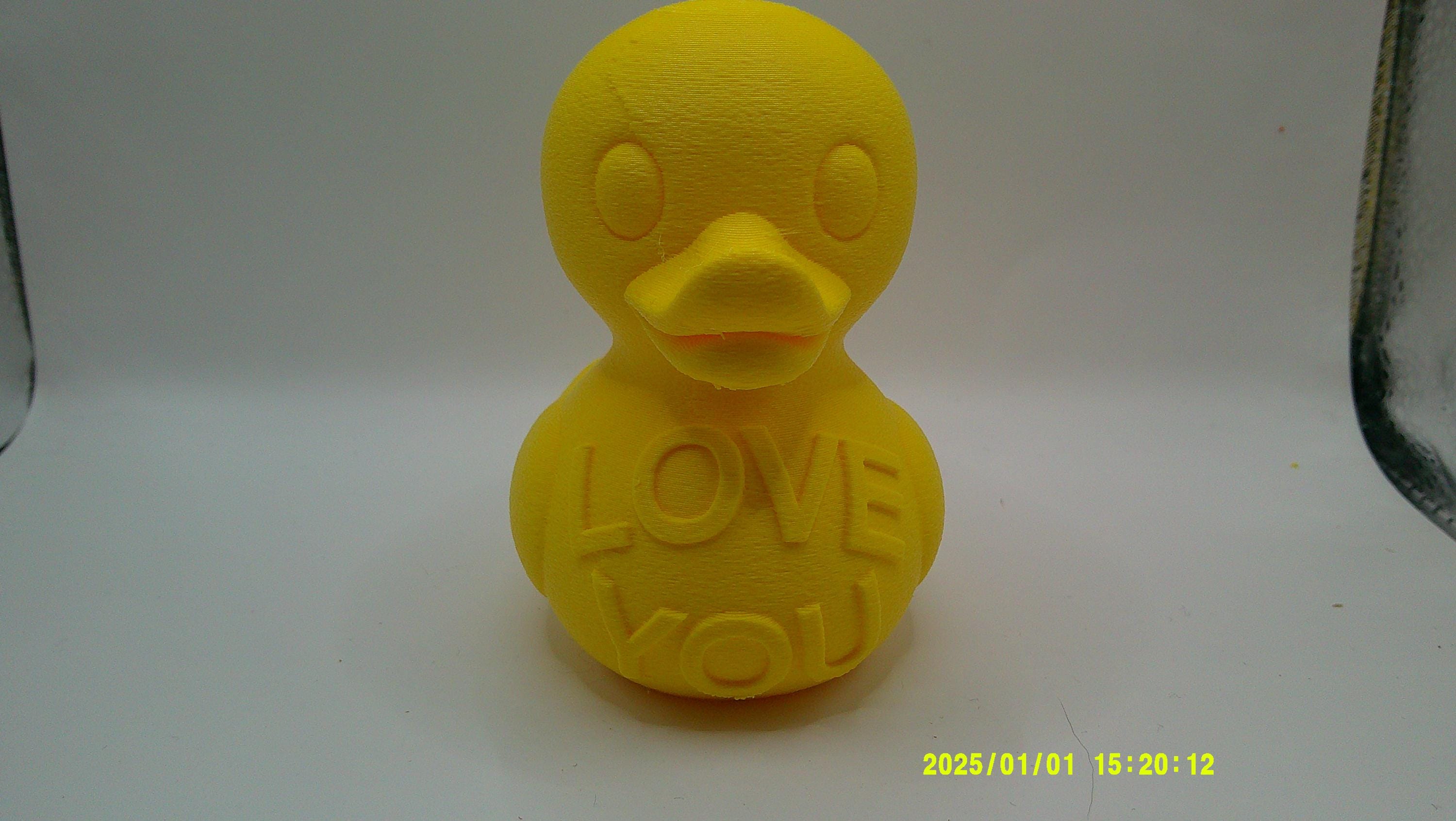 3D Printed Conversation Ducks
