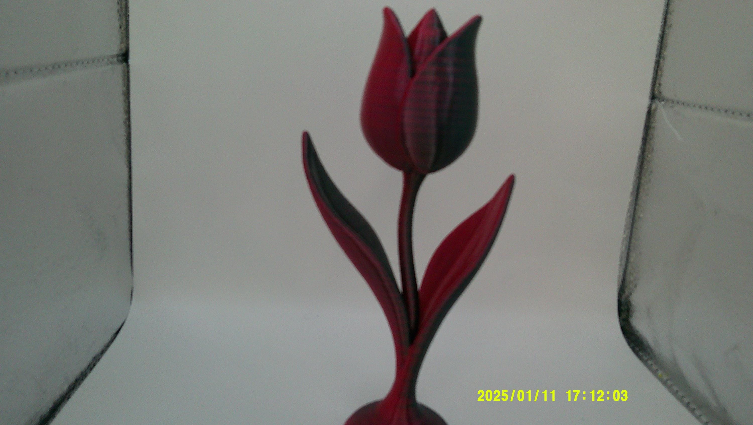 Love in Bloom – 3D Tulip Sculpture