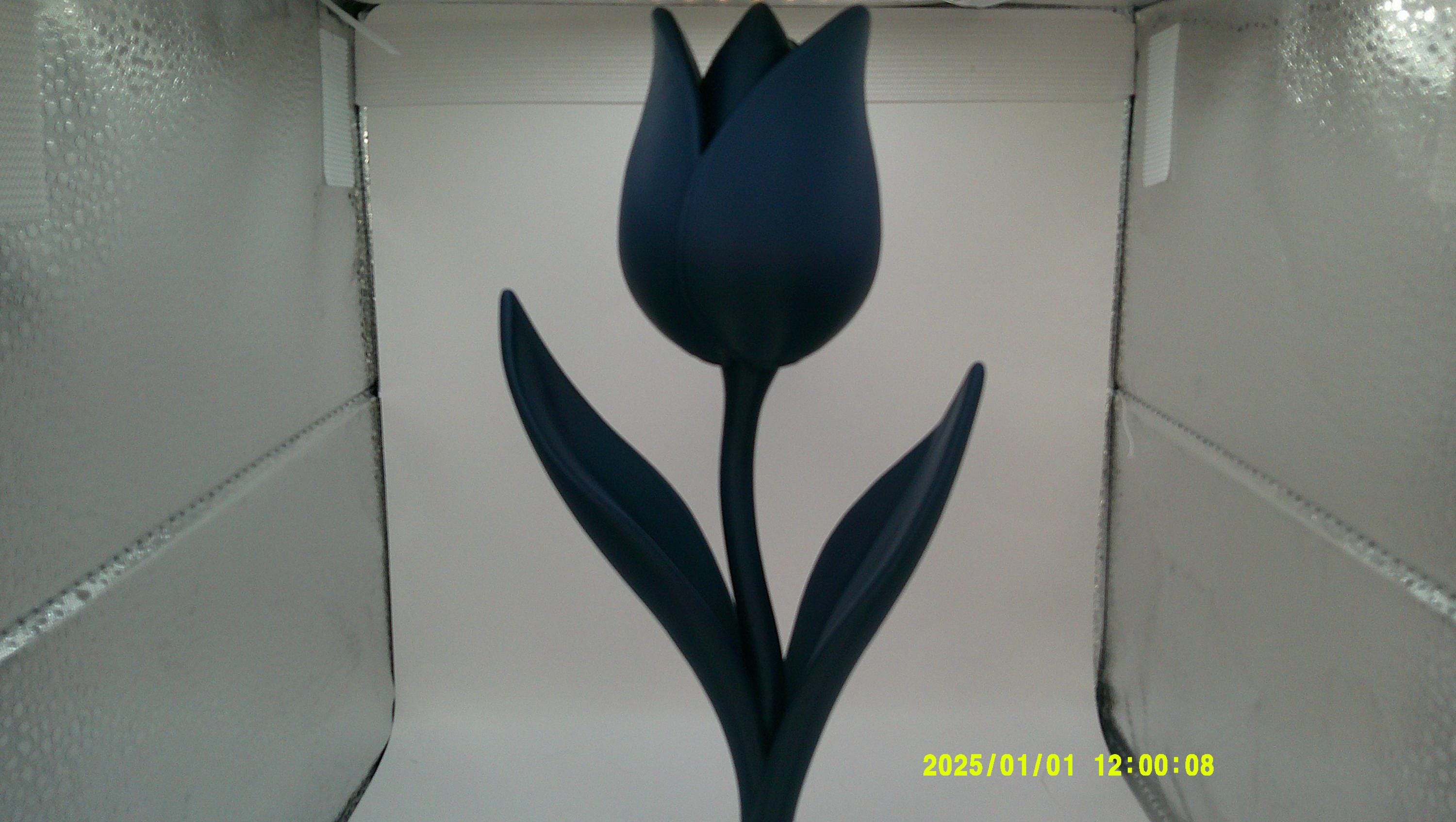 3D Printed Tulip Flower, Modern Decorative Bloom, Articulated Stem Display Piece