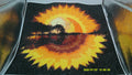 Ember Sun, Golden Sunflower