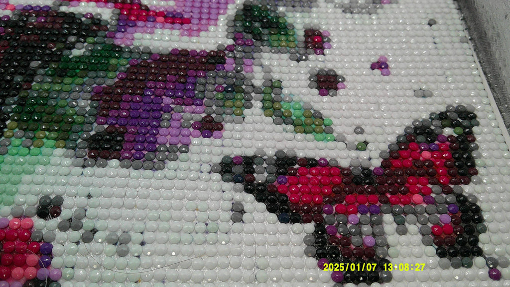 Blossoms & Butterfly Dreams