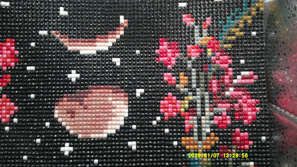 Floral Phases – Botanical Moon Cycle Art