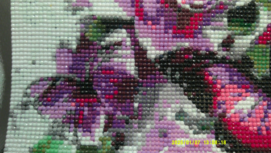 Blossoms & Butterfly Dreams