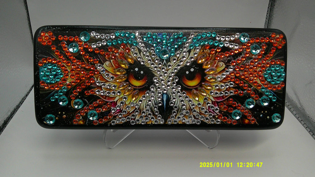Jeweled Owl Diamond Art Eye Glass Case