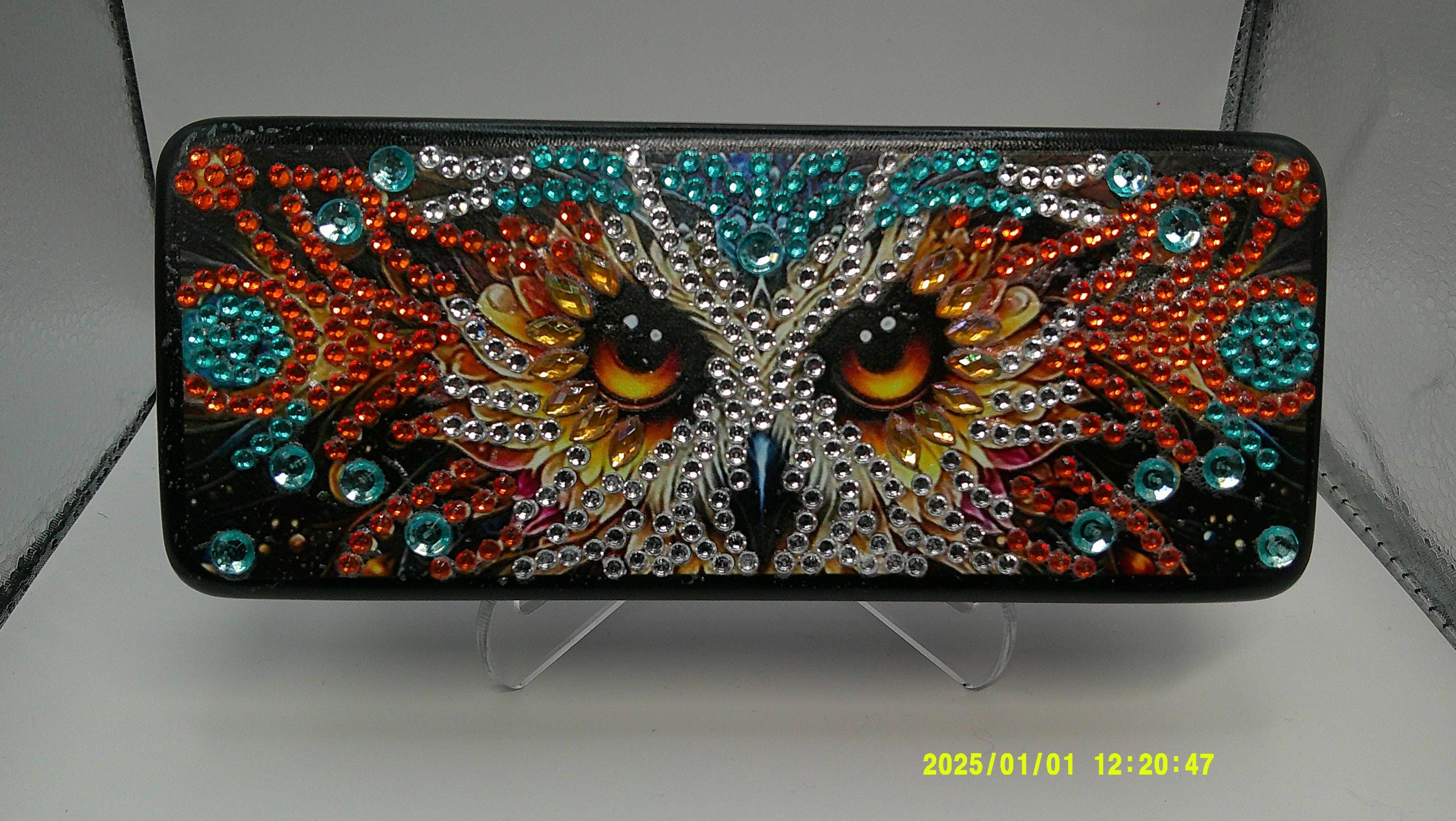 Jeweled Owl Diamond Art Eye Glass Case