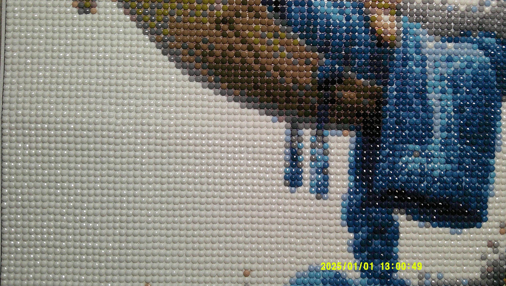 Hammock Days & Daisies – Whimsical Gnome Diamond Art