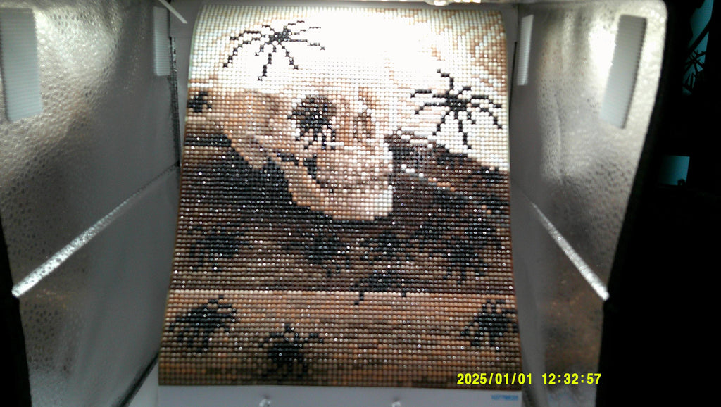 Spiders on Skull & Books Diamond Art Scene