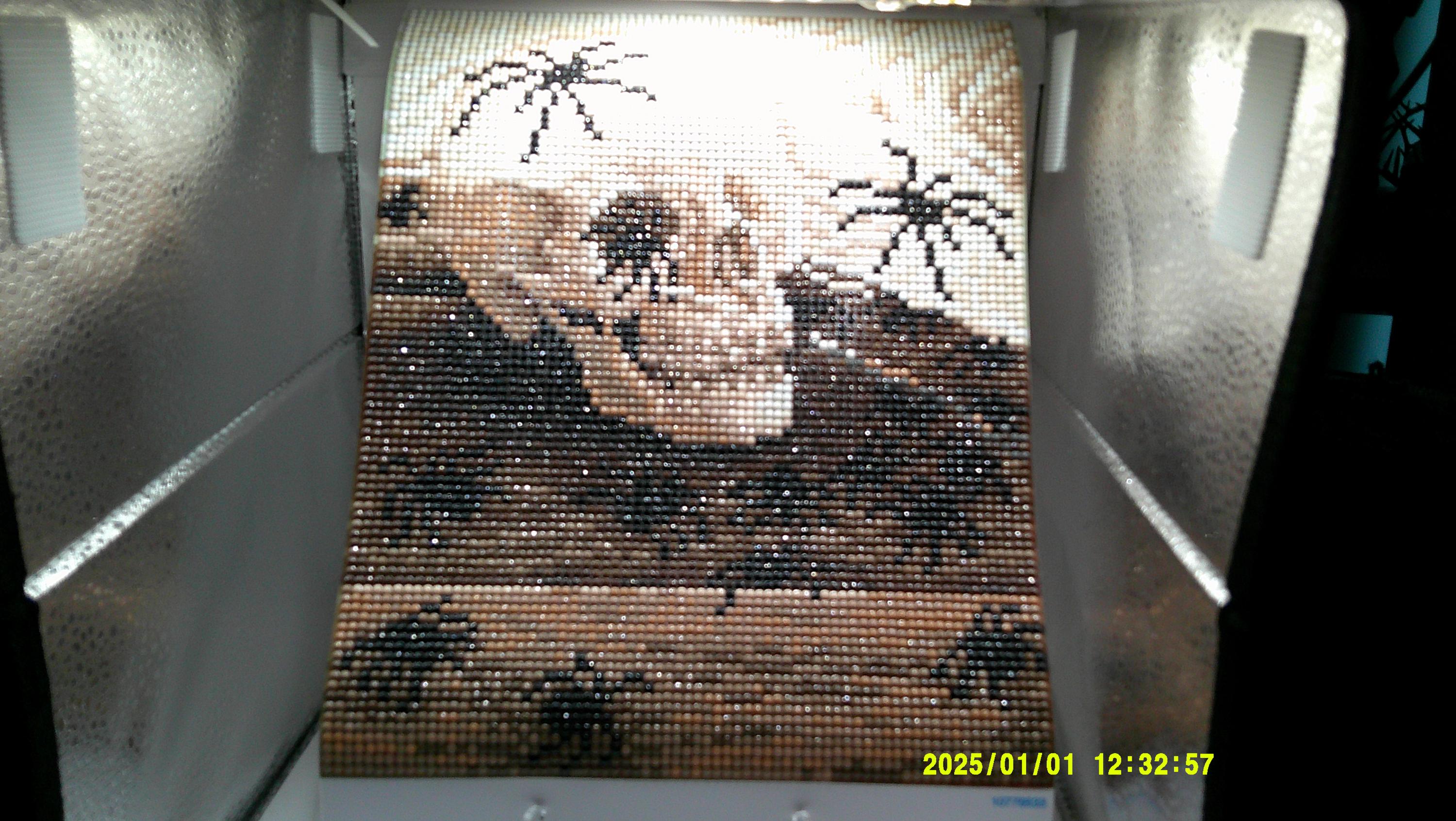 Spiders on Skull & Books Diamond Art Scene
