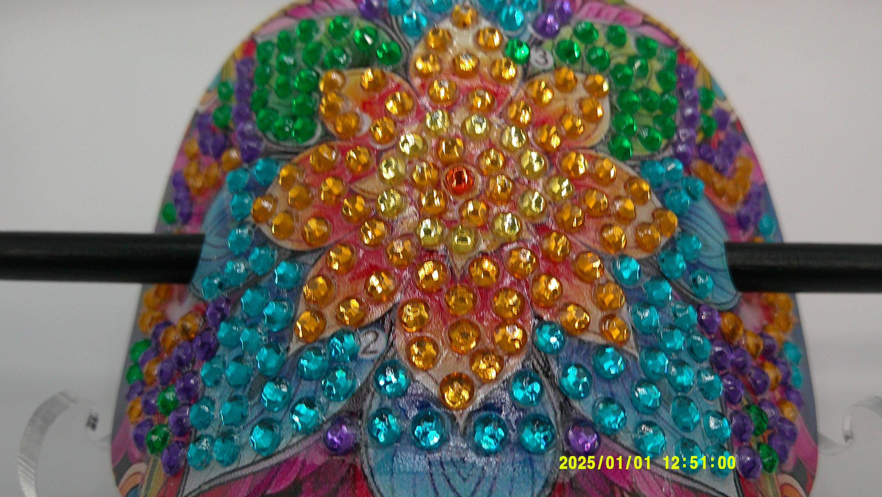 Floral Burst Diamond Art Hair Slide