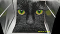 Mystic Black Cat Face Diamond Painting with Glowing Eyes