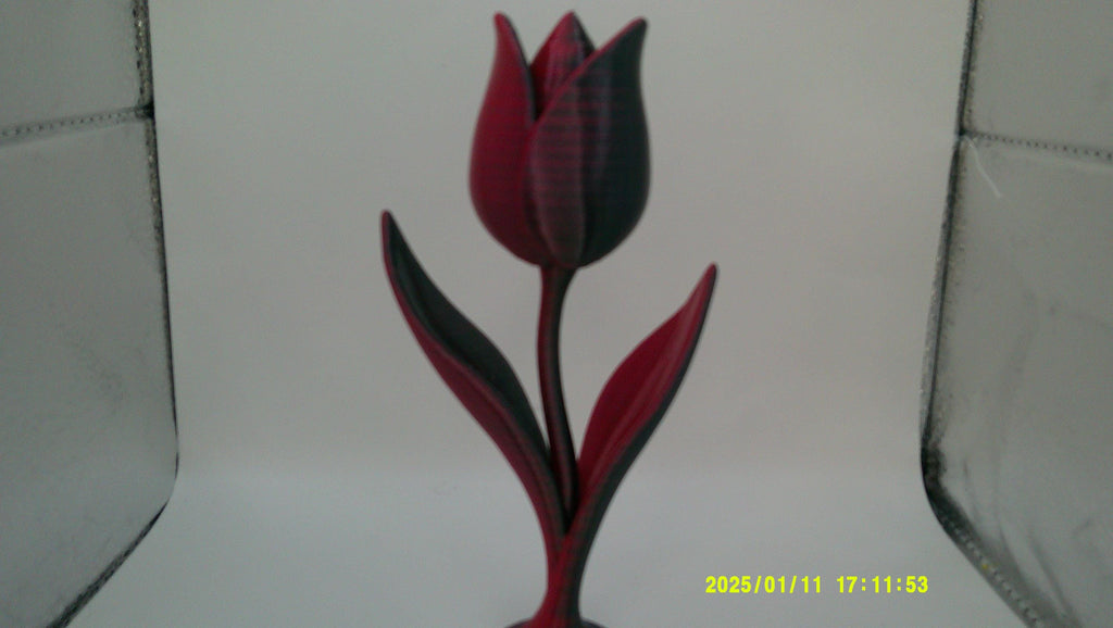 Love in Bloom – 3D Tulip Sculpture