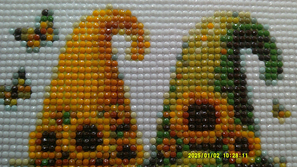 Harvest Day Gnome Couple Diamond Art
