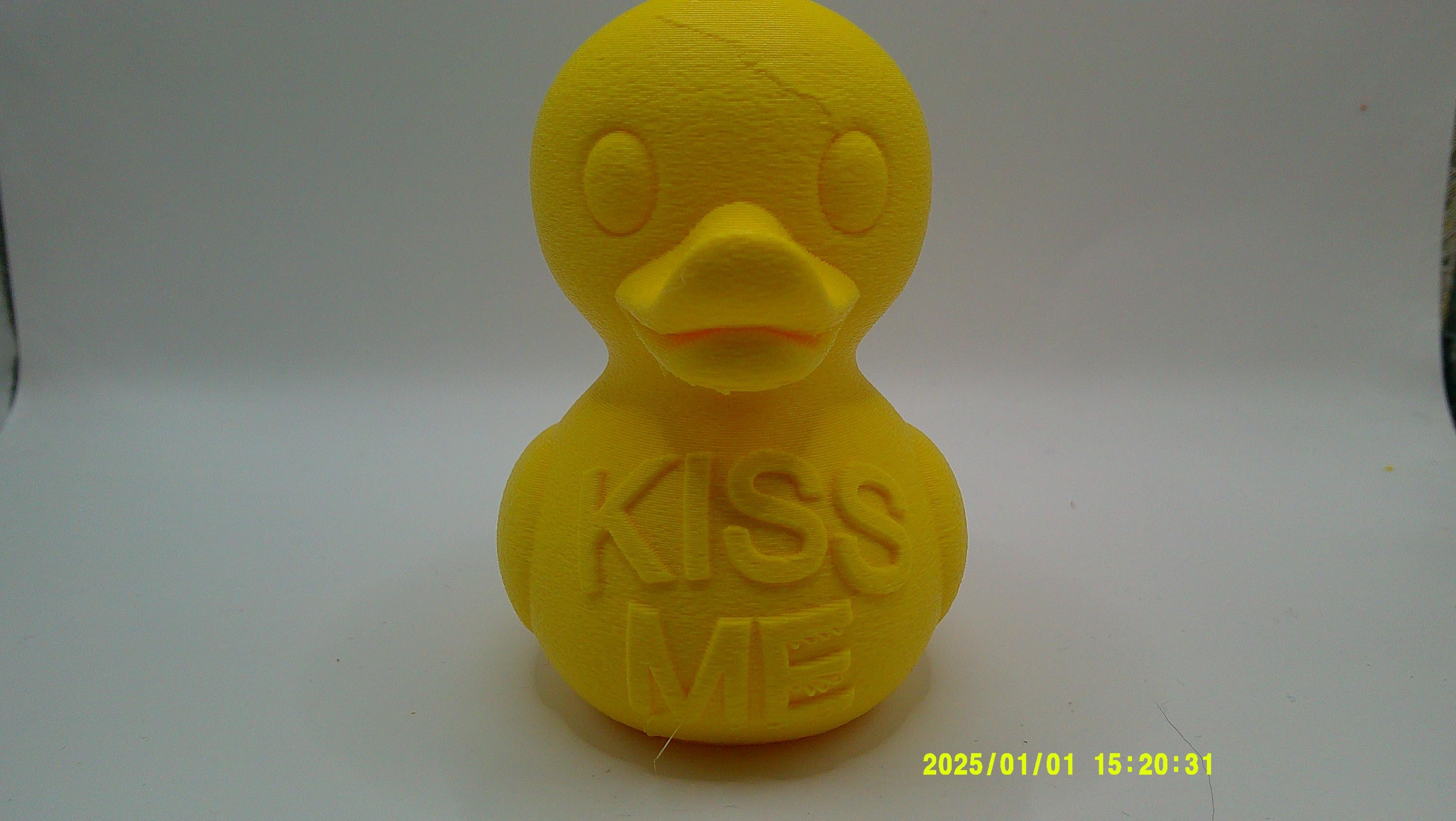 3D Printed Conversation Ducks