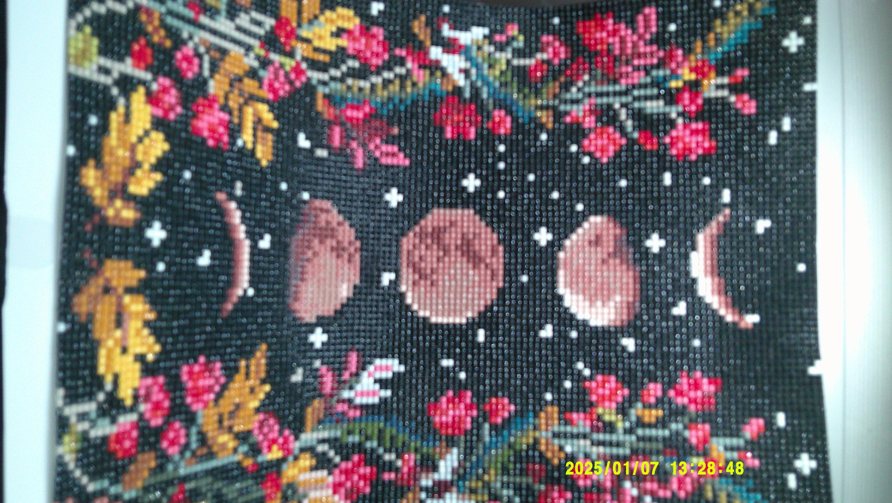 Floral Phases – Botanical Moon Cycle Art