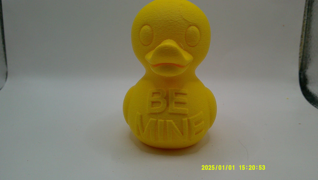 3D Printed Conversation Ducks
