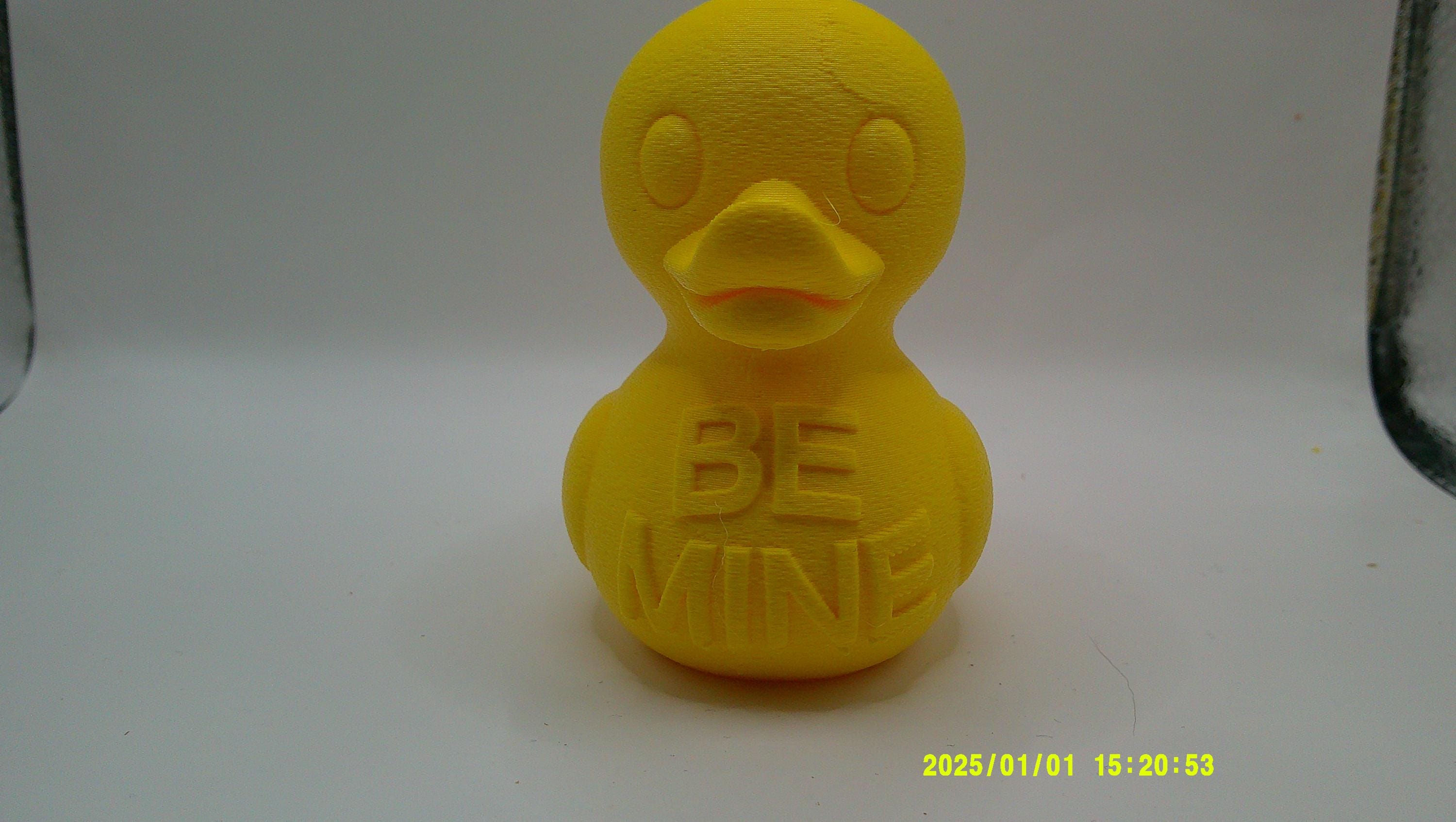 3D Printed Conversation Ducks